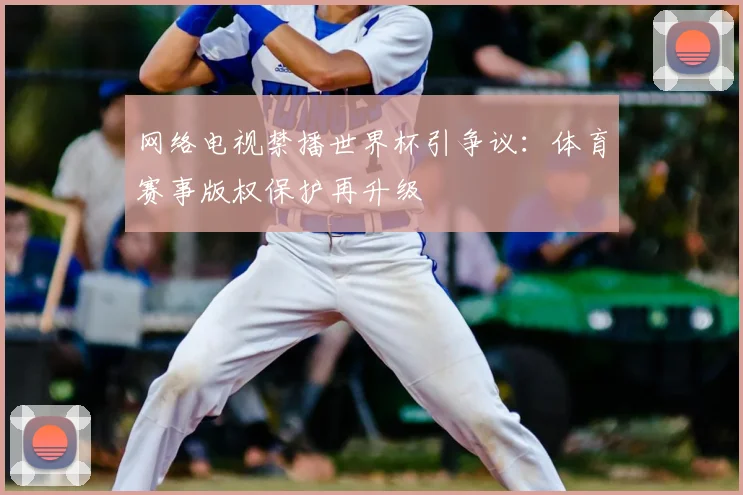 网络电视禁播世界杯引争议：体育赛事版权保护再升级